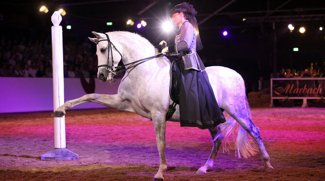 Die pferdegerechte Ausbildung hat Anja Beran schon bei den Marbach Classics im vergangenen Jahr vorgeführt. Hier den Spanischen