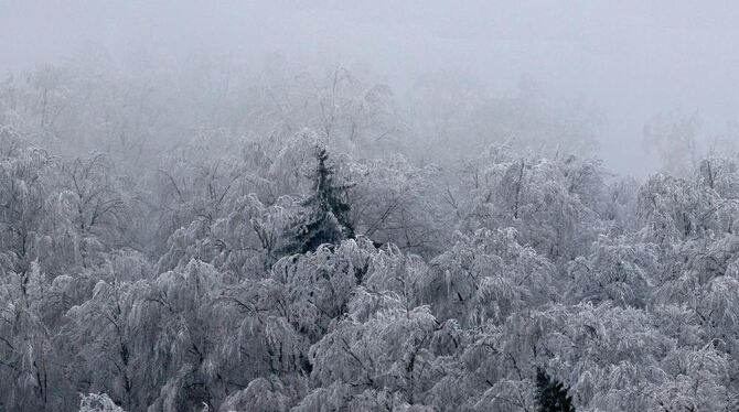 Der Gomadinger Sternberg ein Wintermärchen. FOTO: PULVERMÜLLER