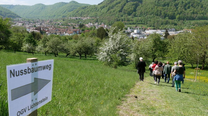 Hier geht’s lang. Der OGV Lichtenstein stellte am Wochenende seinen Nussbaumweg vor. Der Vorsitzende erläuterte Alfons Reiske (l