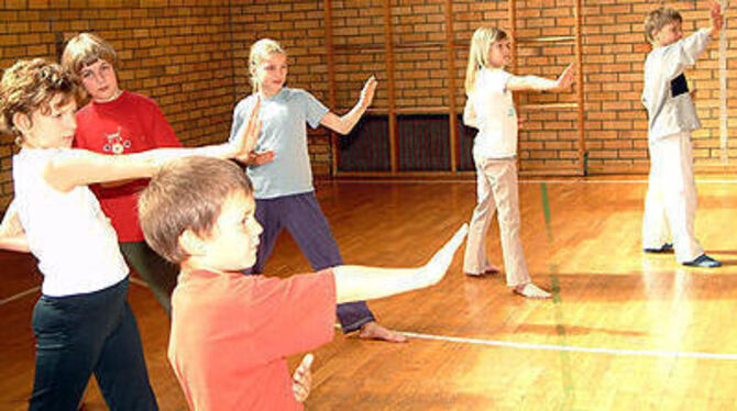 Karate lernen kostet Kraft und fordert Disziplin: An der Pfullinger Uhlandschule wird es als AG angeboten.  FOTO: KAB