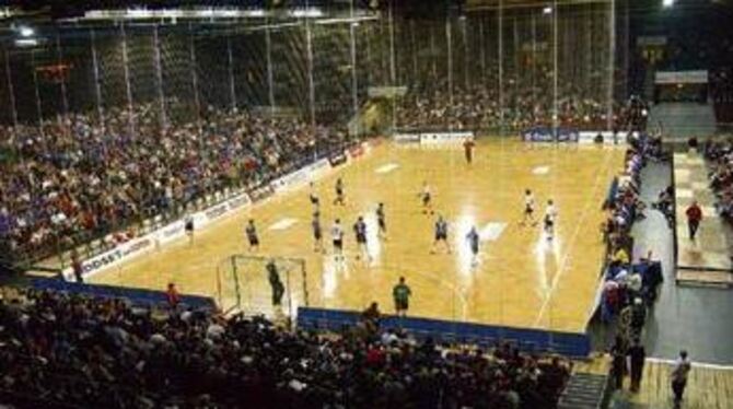 Handball in einer attraktiven Halle - hier die Pfullinger in der Stuttgarter Schleyer-Halle - ist wirtschaftlich gesehen ein loh