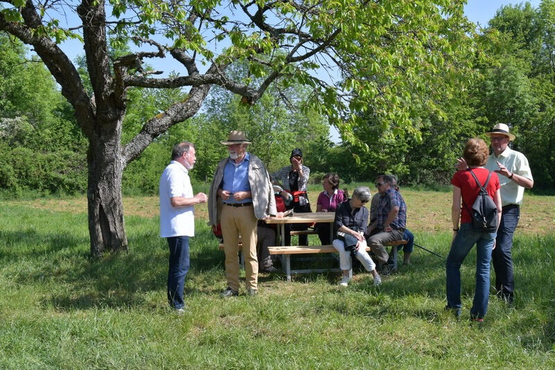 premiumwanderweg_moessingen_meyer_2018_3