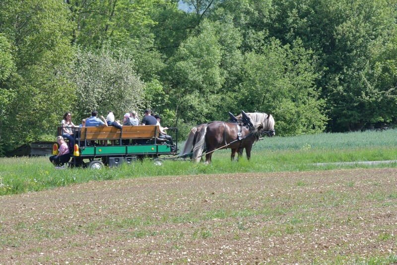 premiumwanderweg_moessingen_meyer_2018_12