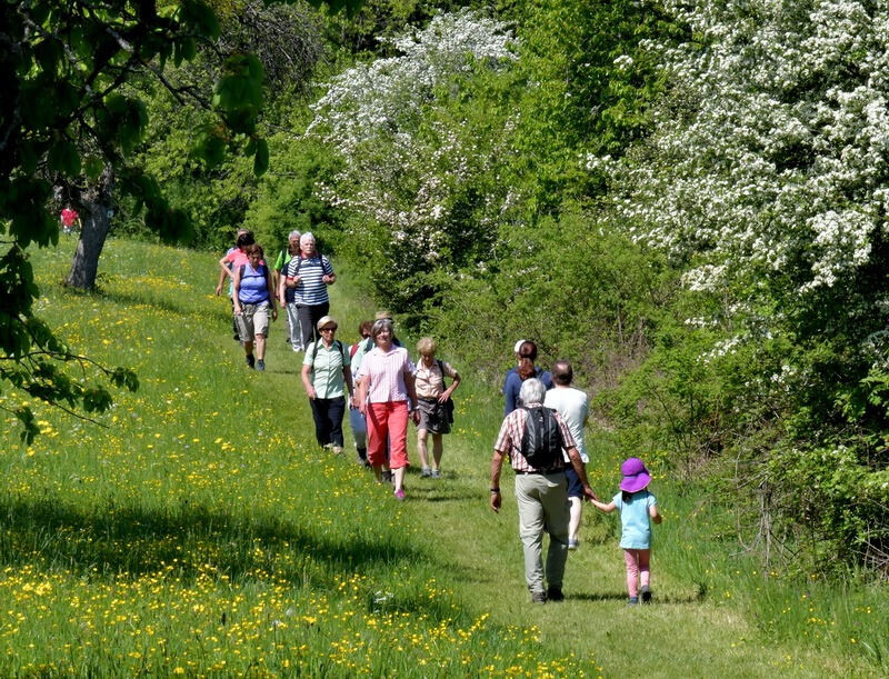 premiumwanderweg_moessingen_meyer_2018_13