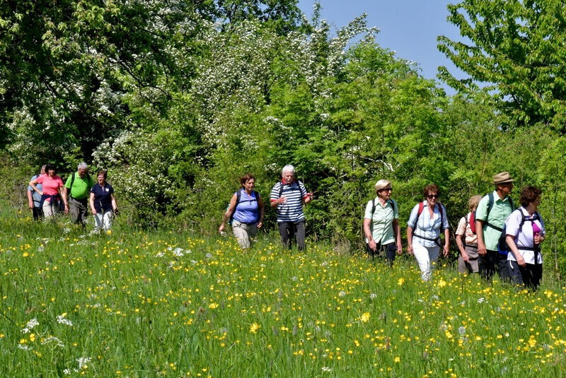 premiumwanderweg_moessingen_meyer_2018_14