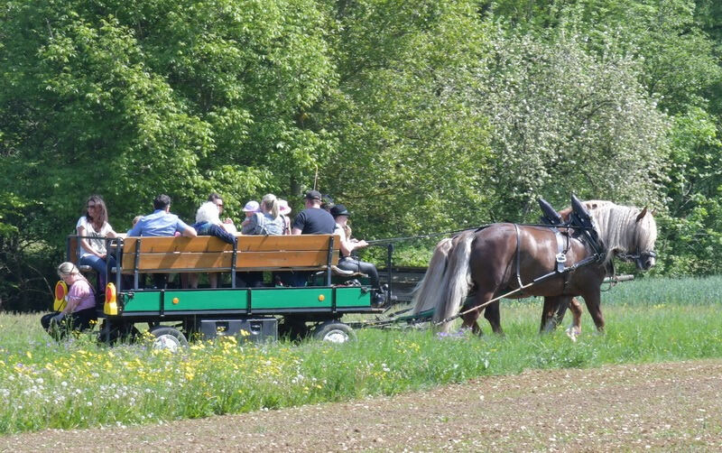 premiumwanderweg_moessingen_meyer_2018_16