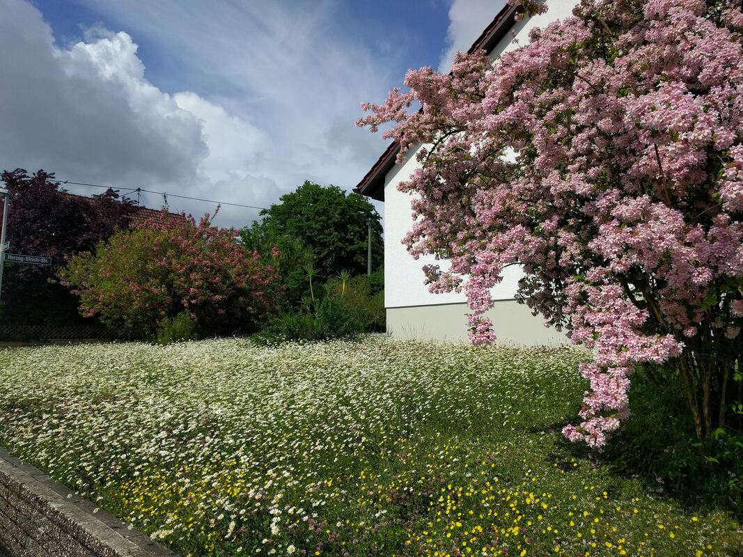 3lieselotte und richard rein, reicheneck