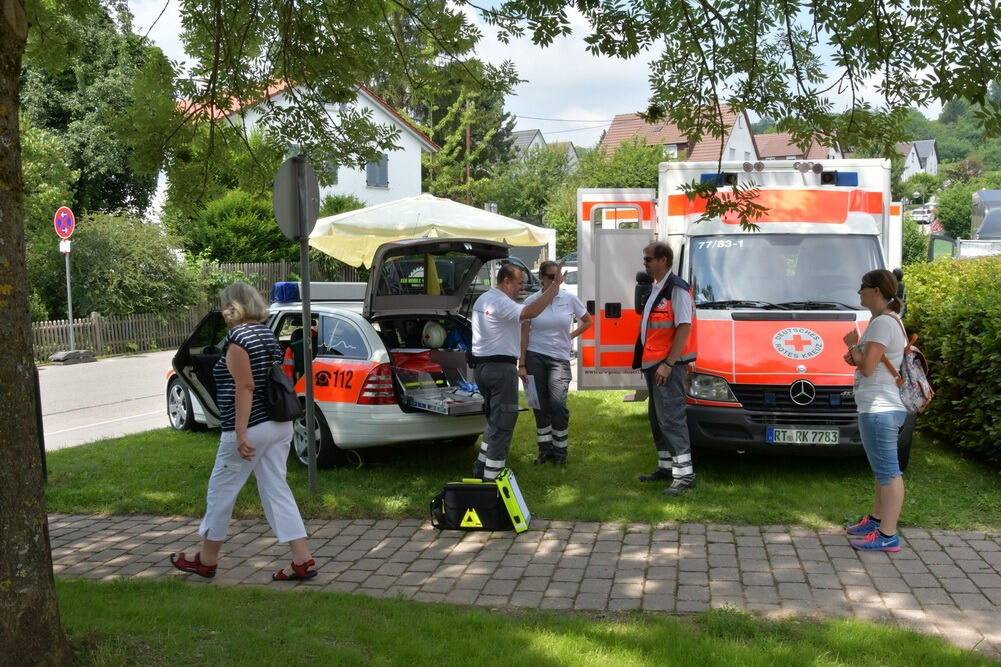 leistungsschau_pliezhausen_meyer_2018_21