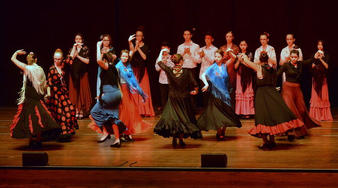 Temperamentvoller Auftritt: Die Flamenco-Gruppe ließ das Publikum in die Welt der spanischen Folklore eintauchen. FOTOS: NIETHAM