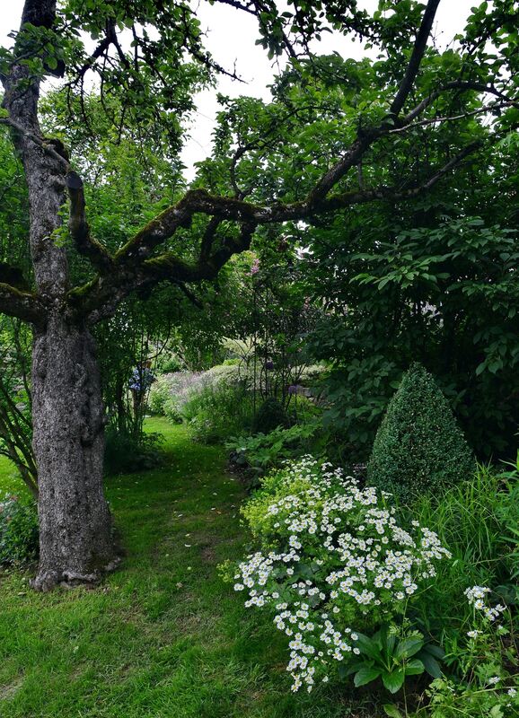 baacher_rosengarten_renner_niethammer_2018_7