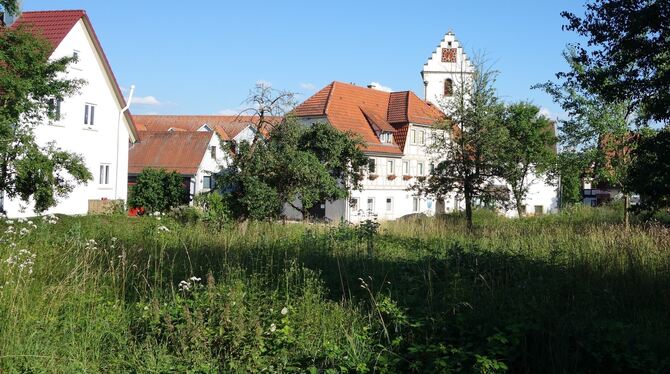 Zentraler Platz in Jettenburg: Die Wiese nahe der Kirche und des Rathauses wird zum Bauplatz werden.  FOTO: STRAUB