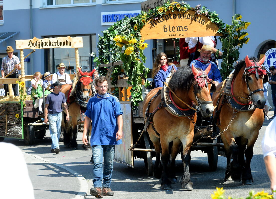 erms-1607-67umzug metz-niethammer