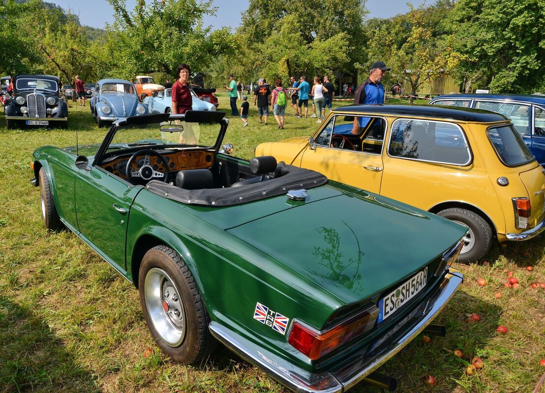 oldtimerschau_freilichtmuseum_beuren_niethammer_3