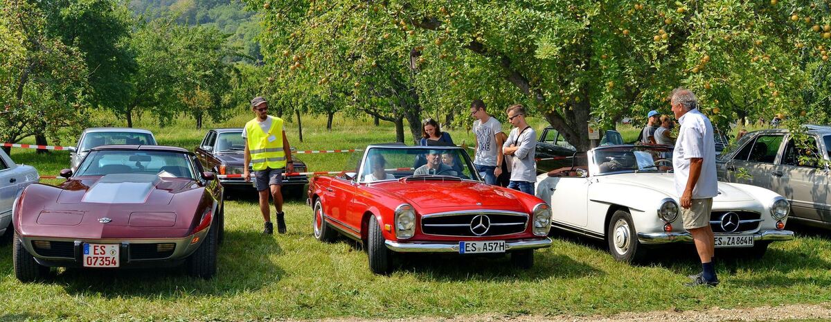 oldtimerschau_freilichtmuseum_beuren_niethammer_8