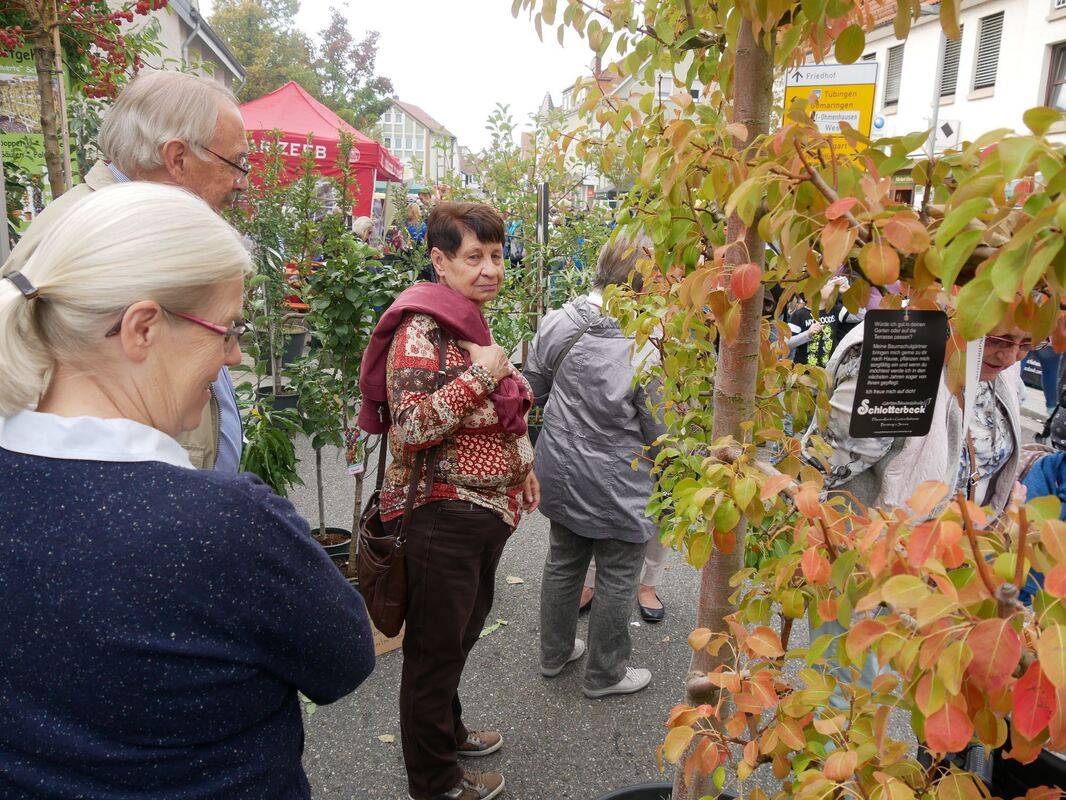 apfelfest_betzingen_2018_leister_5