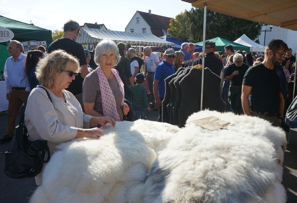 apfelfest_moessingen_2018_straub_9