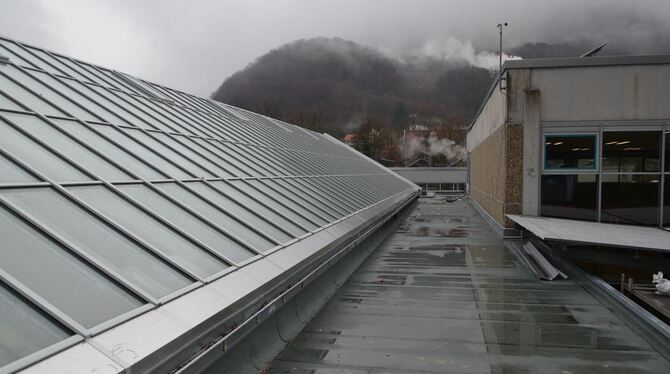 Das Problem liegt oberhalb des bereits sanierten Glas-Schrägdachs der Ernst-Braun-Halle. Seit Monaten ist das große Flachdach ni