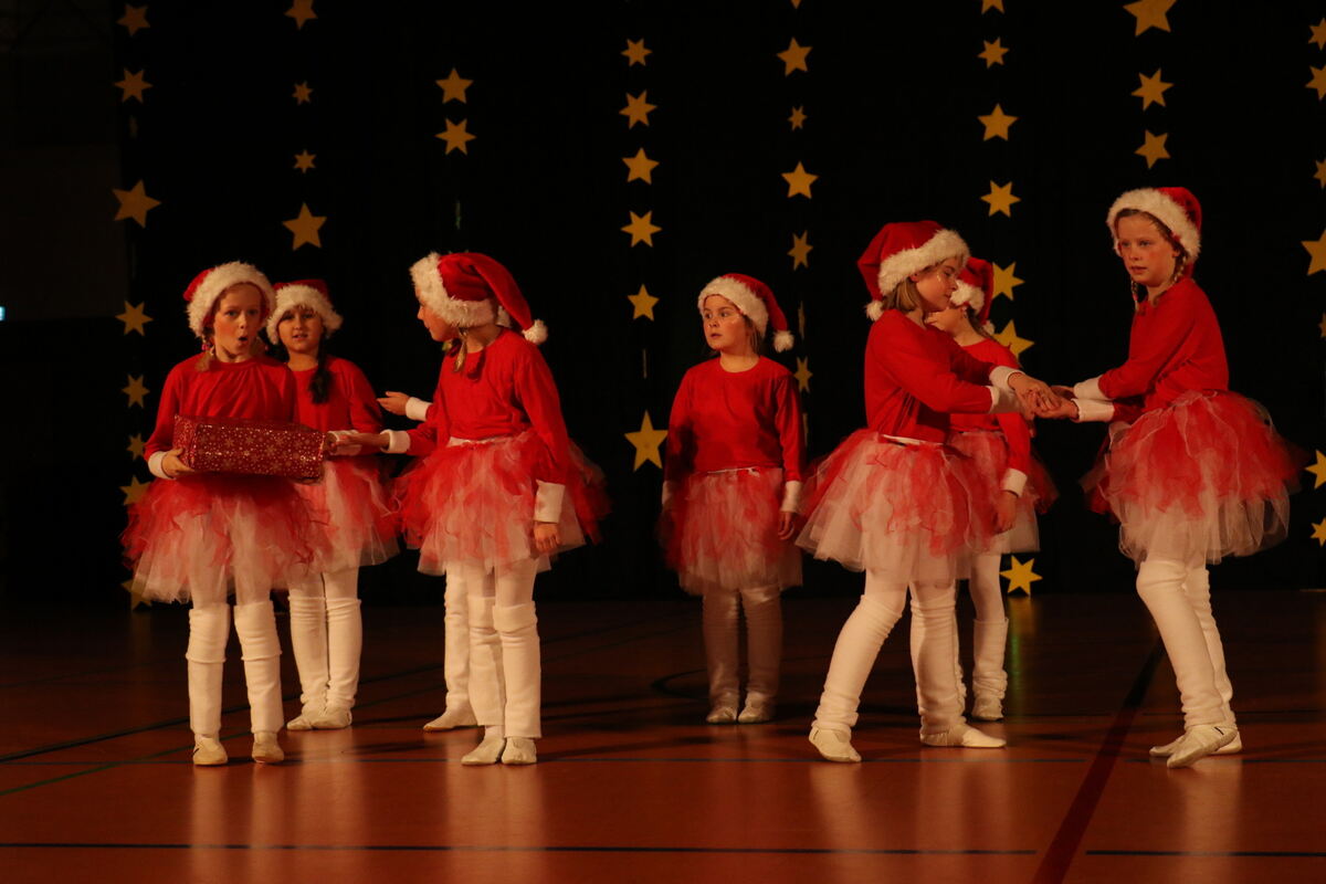 tsv_eningen_weihnachtsgala2018_vereinsbild_65