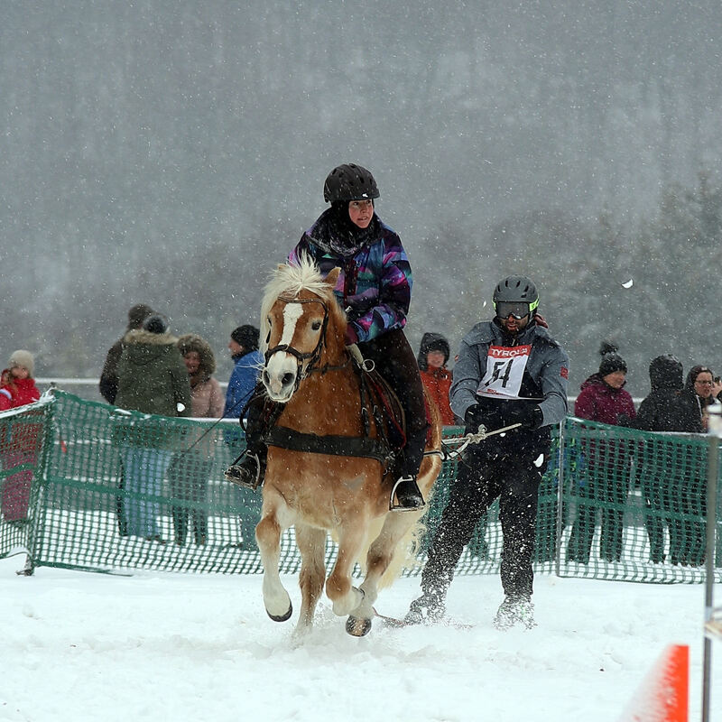 skijoering_trochtelfingen_2018_baier_3