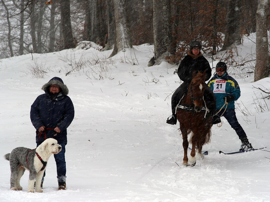 skijoering_trochtelfingen_2018_baier_7