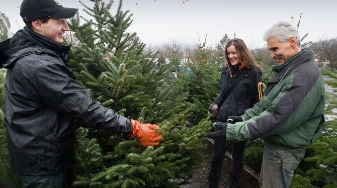 Freundliche Beratung von Händler Daniel Fischer (links) beim Weihnachtsbaumkauf. FOTO: GERLINDE TRINKHAUS