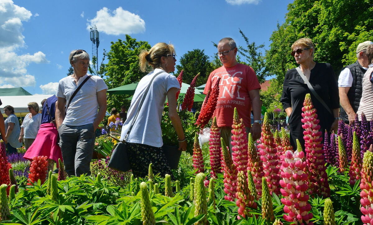 stadt-3105-27garden life-niethammer