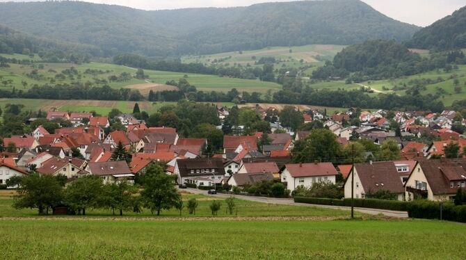 Noch vor den Arbeiten zur Erschließung: An der Aichhalde in Talheim entsteht ein kleines Baugebiet im Anger.  GEA-FOTO: HAILFING