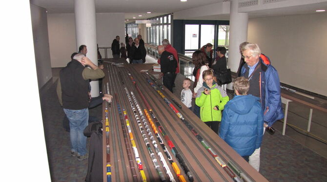 Einmal im Jahr verwandelt sich das Erdgeschoss des H3-Zentrums in Eningen in ein Paradies für Modelleisenbahnfreunde.Foto: Flaig