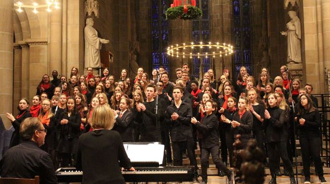 Schüler des Listgymnasiums versetzten bei ihrem Konzert in der Marienkirche die Zuhörer in eine besinnliche Adventsstimmung. FOT