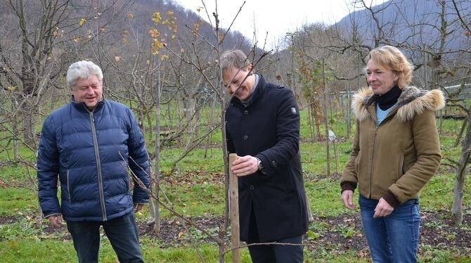 Bürgermeister Peter Nußbaum, eingerahmt vom Vorsitzenden des Obst- und Gartenbauvereins Lichtenstein, Alfons Reiske, und dessen