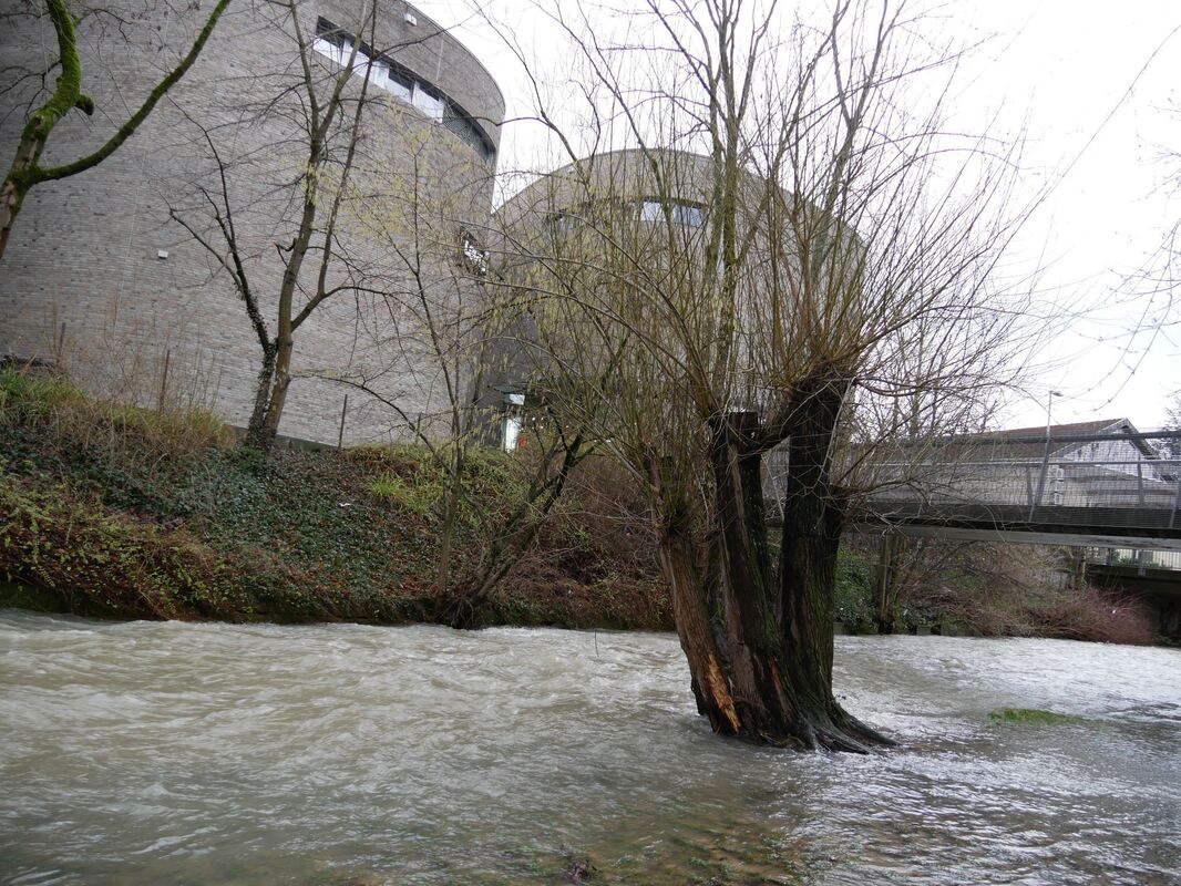 hochwasser_fink_5