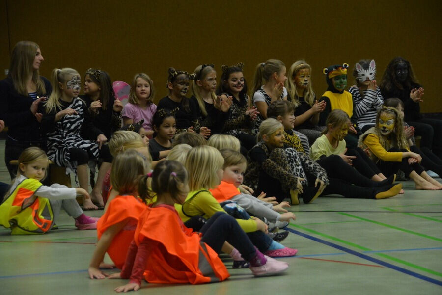 Mössinger Weihnachtszirkus der Sportvereinigung