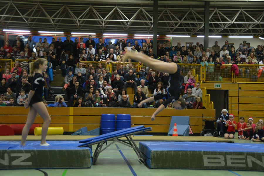 Mössinger Weihnachtszirkus der Sportvereinigung