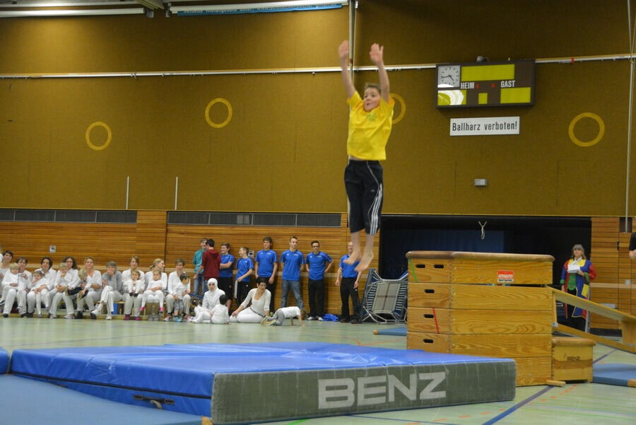 Mössinger Weihnachtszirkus der Sportvereinigung