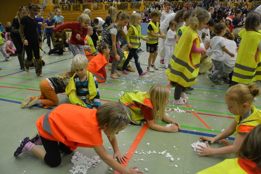 Mössinger Weihnachtszirkus der Sportvereinigung