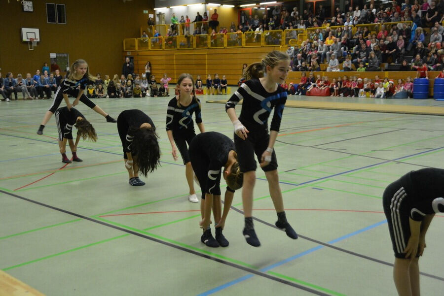 Mössinger Weihnachtszirkus der Sportvereinigung