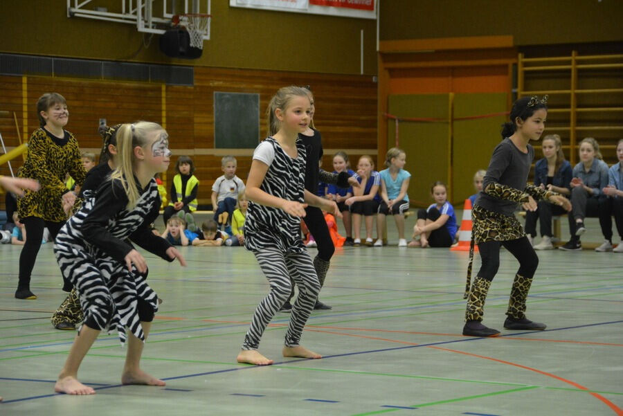 Mössinger Weihnachtszirkus der Sportvereinigung