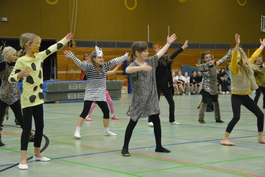 Mössinger Weihnachtszirkus der Sportvereinigung