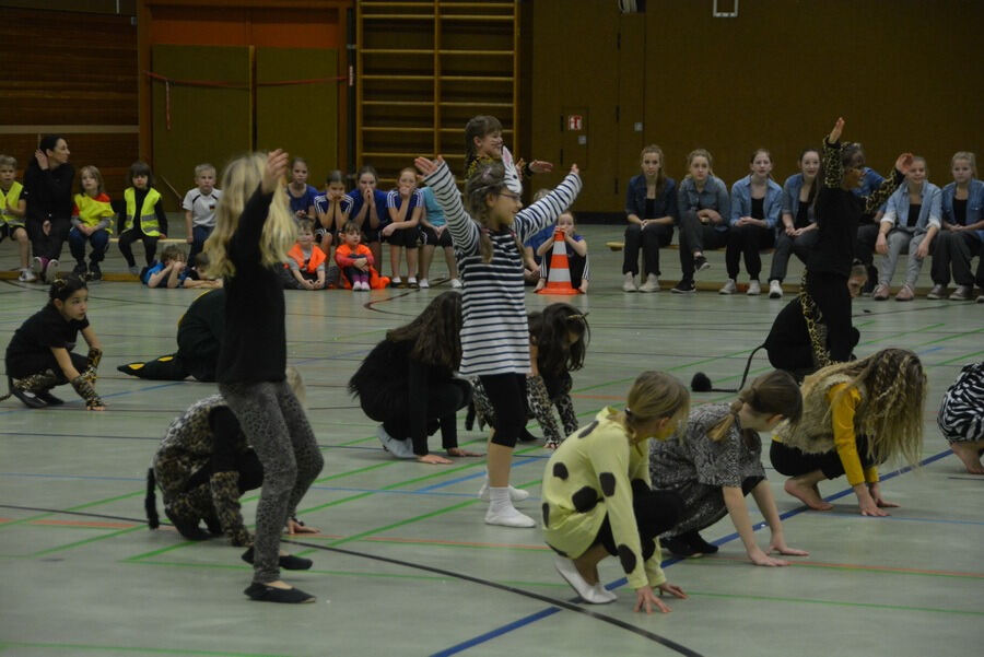 Mössinger Weihnachtszirkus der Sportvereinigung