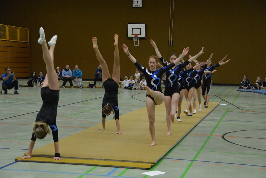 Mössinger Weihnachtszirkus der Sportvereinigung