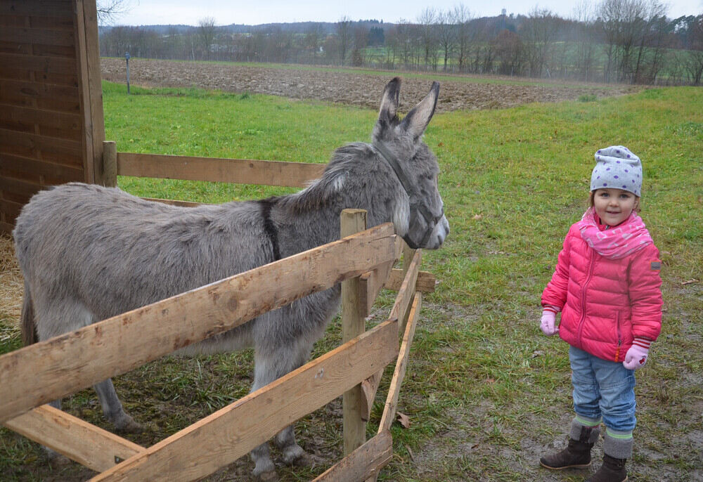 Christkendlesmarkt Walddorfhäslach 2014