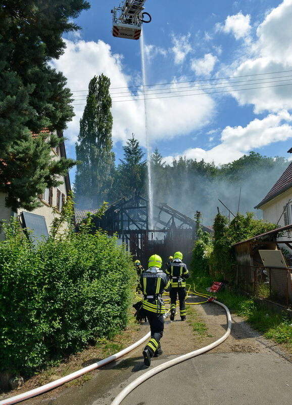 Pel-3005-9Brand En-Niethammer