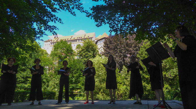 Das Frauenensemble Vocabella singt Silcherlieder beim Silcher-Denkmal auf der Neckarinsel. Im Hintergrund thront das Schloss übe