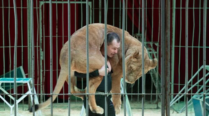 Atemberaubend, was die Artisten im Weihnnachtszirkus bieten. Sie treiben den Puls der Premierenbesucher nach oben. FOTO: ZAWADIL