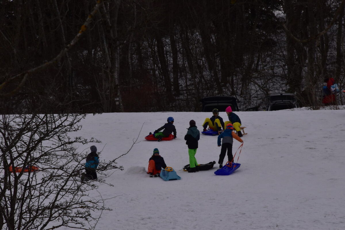 schneefreuden_neujahr_2020_meyer_5