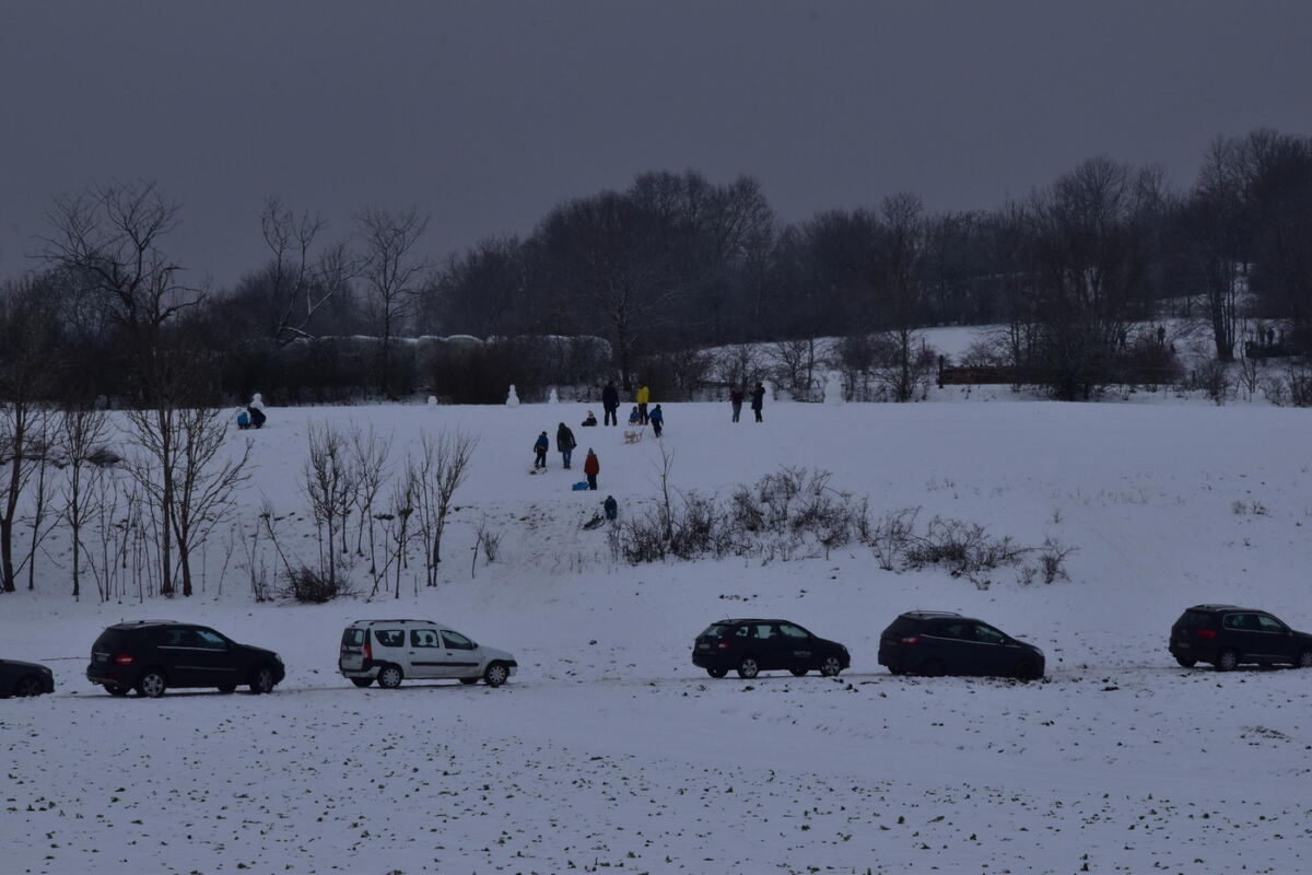 schneefreuden_neujahr_2020_meyer_17