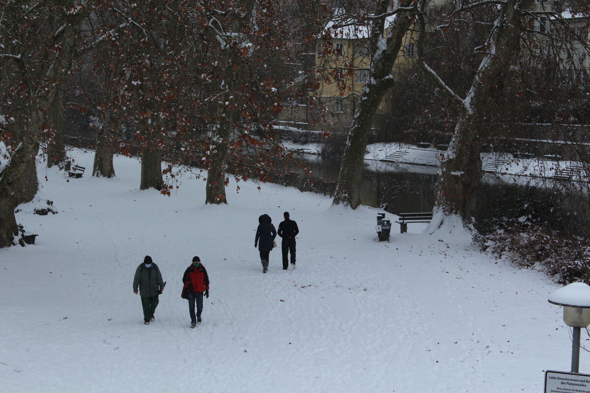 Die Tübinger Platanenallee im Winter.