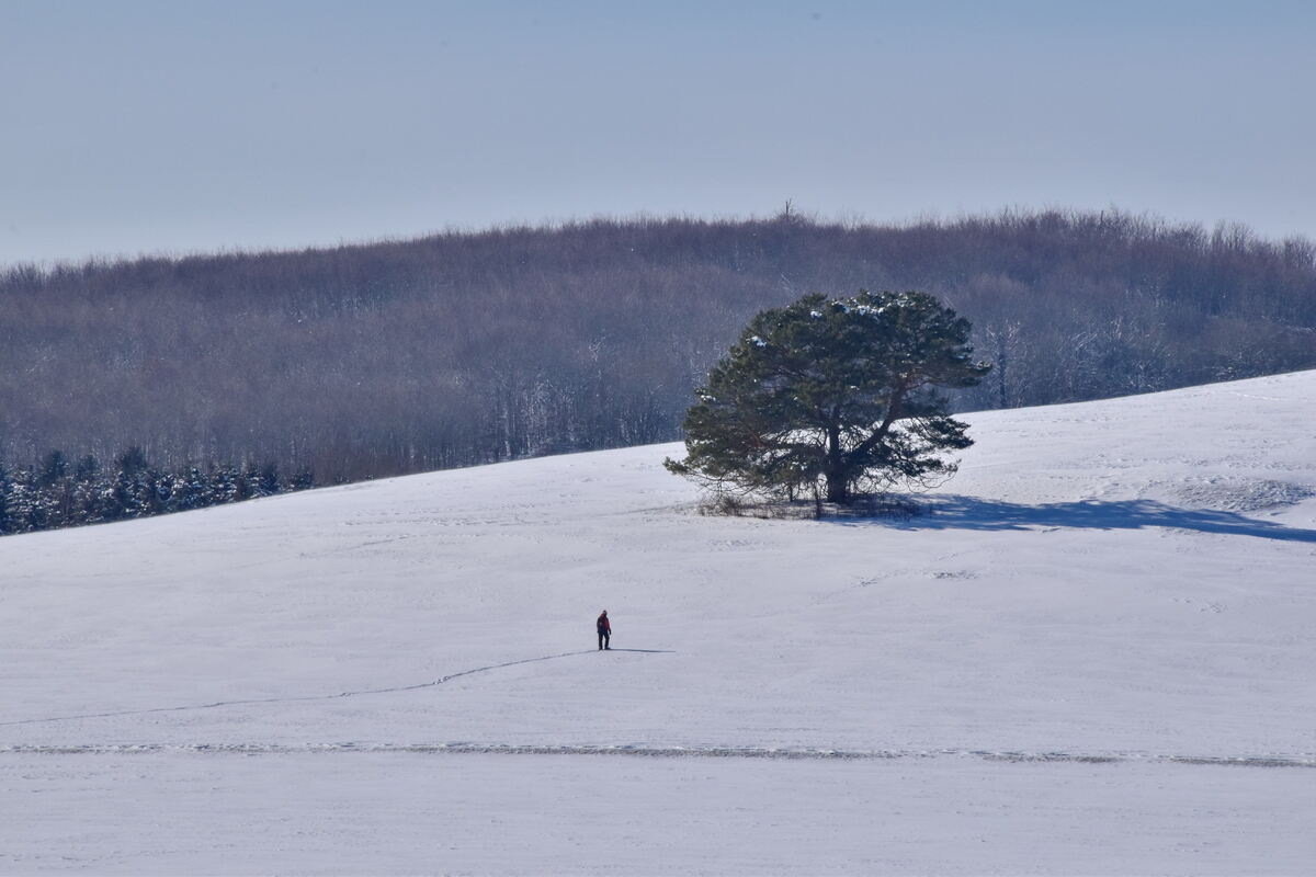 Wanderer bei Undingen