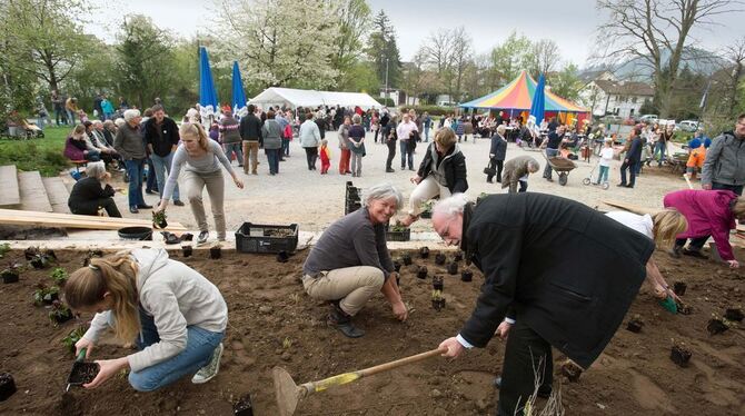 Fröhliches Pflanzfest zum 30-jährigen Bestehen: Im April verbuddelten freiwillige Helfer Blumenzwiebeln. ARCHIVFOTO: TRINKHAUS