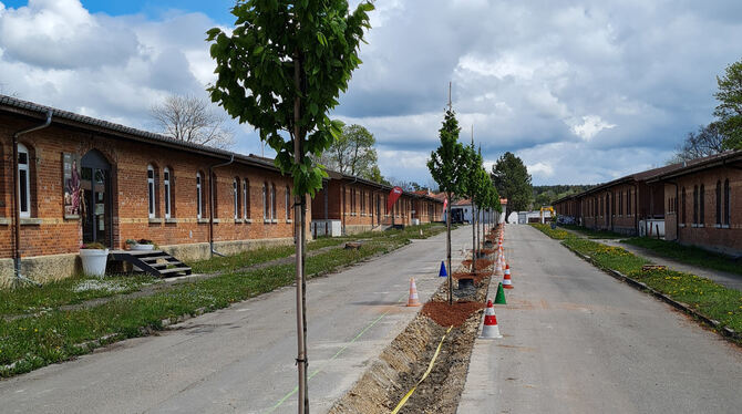 Die Straße zwischen den Manufakturen bekommt mit Bäumen und Bänken noch mehr Aufenthaltsqualität.  FOTO: SCHRADE